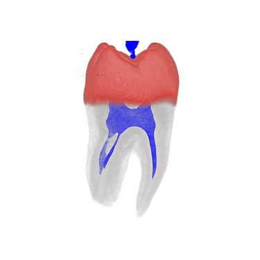 render_20250904_015512_1to1