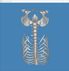 gpu_mapper_usedepthpass_contour_flipped_y