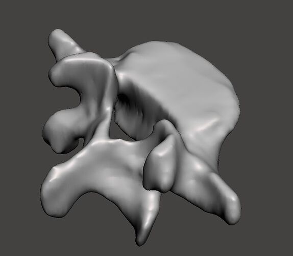 human-vertebra-l5-3d-model-stl-2333335333