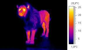 thermography-colormap